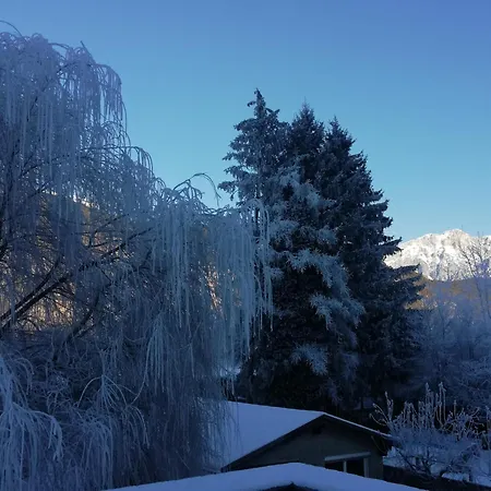 Stylish & Spacious With Patio 아파트 스탬스