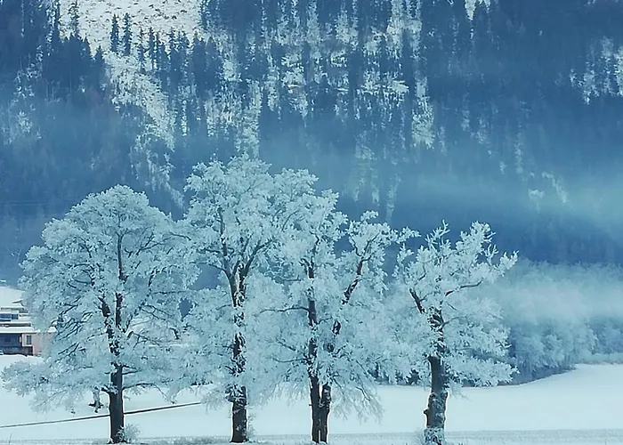 Апартаменты Stylish & Spacious With Patio